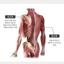 웰니스헬스 제이필라테스 요기요가 이미지