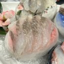 금화로 | 광주 금호동횟집 황금회바다 모듬회, 푸짐한 스끼 후기