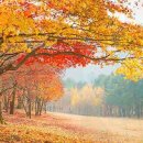 아트아뜰리에성인취미미술학원 - 부산진구 가야대로784번길 15-1 | 아트아뜰리에성인취미미술학원