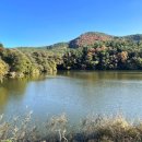 두낫디스터브 반곡지 | 경산 카페 두낫디스터브 반곡지 뷰 카페