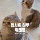 (주)집사의 하루 이미지