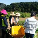 우슬재황토촌 이미지