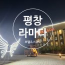 라마다호텔 | 평창 라마다 호텔 후기｜순수양떼목장 도보 5분, 완벽한 가족 여행 코스