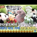 JX 건강 이미지
