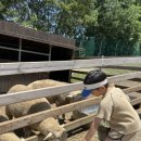 혁이목장 이미지