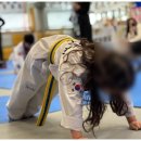 사랑 태권도 이미지