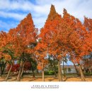 연지공원(조각공원) 이미지