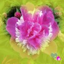 한 사람 이미지