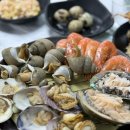 해변회센타 | 안목해변 강릉항 회센터 명문에서 방어 후기