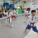 다사랑 태권도 이미지