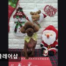 이루네 애완미용샵 | {부천, 강아지, 고양이, 애견미용, 추천!) 멍클레어샵 부천 멍클레어샵, 안전한 애견미용