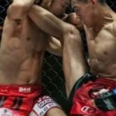 도봉구복싱협회체육관 네이버블로그