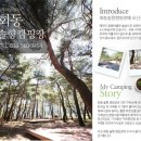 회동솔향캠핑장 이미지