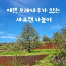 4월17 (수)-군위 ‘사유원 특집’ 이미지