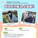 평강부분정비 이미지