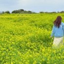 예래별장 이미지