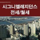 롯데강남공인중개사사무소 이미지
