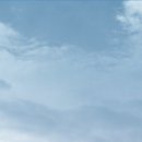 맨돌핀비뇨의학과의원 이미지