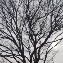 영주시장수면성곡보건진료소 이미지