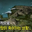 고래 PC방 이미지