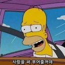 꼬똥사파이어 이미지