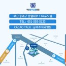 애니얼라인 이미지