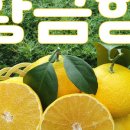 명월농장 이미지