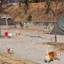 구천동농협 하나로마트 본점 이미지