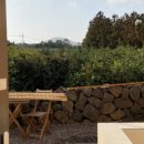 라라보목 이미지