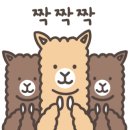 펠레스포츠 네이버블로그