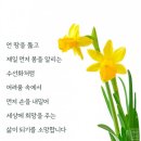 금상첨화 이미지