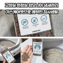 워킹펫 | 고양이 화장실 냄새 관리 가스케어펫 고양이탈취제 사용 후기