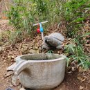 돈달약수터 이미지