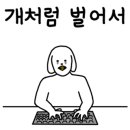 파베뉴(Pavenue) 네이버블로그