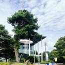 충청대학교 | 연합고사 장소였던 충청대학교 캠퍼스 소개