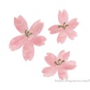 주정차75 이미지