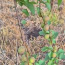 민건농장 이미지