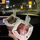 제주북초등학교 | [제주] 제주 서귀포 2박3일 힐링여행 1부