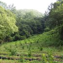 동촌농장 이미지