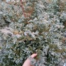 화백농장 이미지