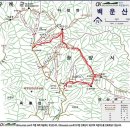 소플러스 앞 횡단보도 이미지