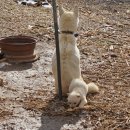 마천황토민박 | [아들과 함께 걷는 길] 지리산둘레길 3코스