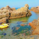 영덕바닷가솔밭펜션 이미지