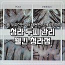 청라 두피관리 웰킨 청라점 지성 두피 산소스케일링 후기