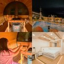 스테이쇼드 이미지