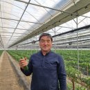 안병선농장 이미지