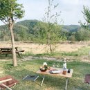 수목화 송정마을 오토캠핑장 이미지