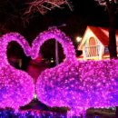 함께하는 월드 매직쇼 이미지