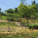 송간초등학교 이미지