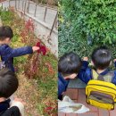 수레로1L | 부쩍 자란 : 36개월